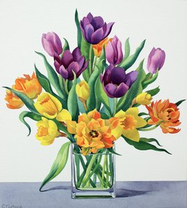 Fleurs de printemps