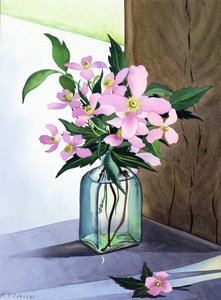 Nature morte Clematis roses