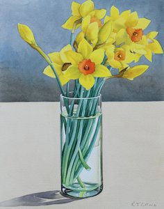 Jonquilles de Supermarché - Christopher Ryland