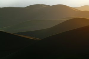 Collines ondulantes dorées