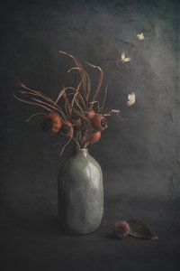  - Cicek Kiral