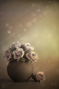  - Cicek Kiral