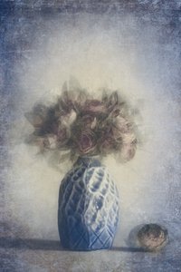  - Cicek Kiral