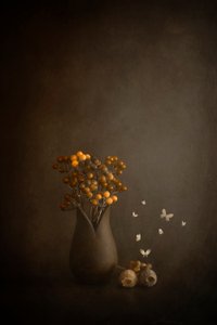  - Cicek Kiral