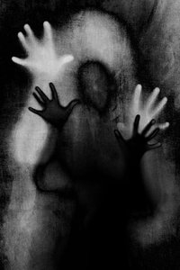  - Cicek Kiral