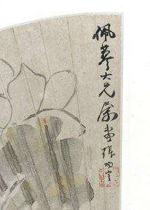 Fleur de lotus et feuilles