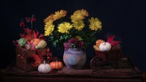 Nature morte « Récolte d