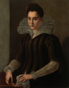 Suédois : Porträtt av dam Portrait d
