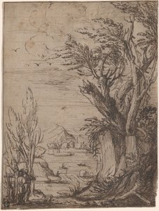 Paysage avec arbres noueux et pêcheur - Circle of Jacques de Gheyn