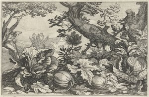 Paysage avec citrouilles et choux - Claes Jansz. Visscher (II)