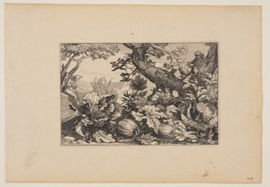 Arbre et melons, de Paysages (Verscheyden aerdige Lanthuysen...) - Claes Jansz. Visscher