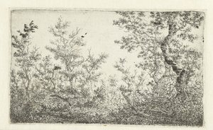 Clairière dans la forêt - Claes van Beresteyn