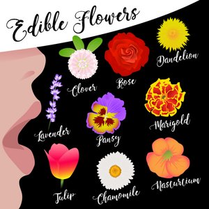 Fleurs comestibles - Claire Huntley