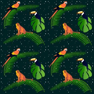 Fièvre de la jungle - Claire Huntley