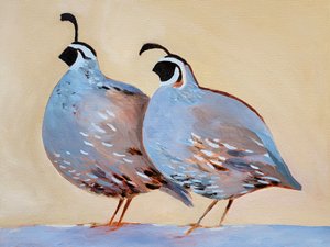 Un charmant couple de cailles - Claire Whitehead