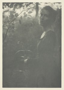 Bord de la forêt