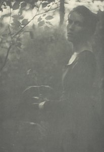 Bord de la forêt