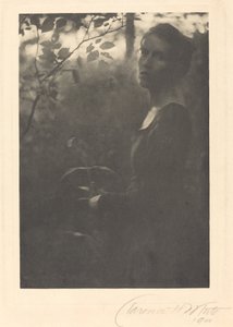 Bord de la forêt, soir