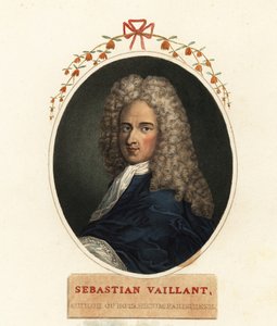 Portrait de Sébastien Vaillant, botaniste français