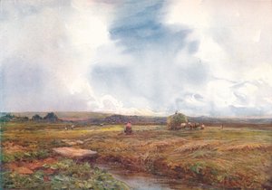 Le Champ de foin, 1872-1906, 1906