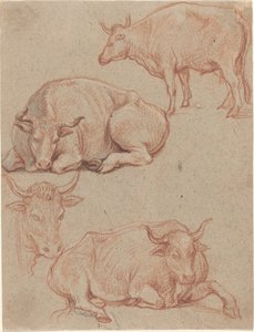 Quatre vaches