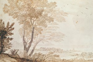 Paysage