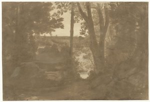 Paysage avec vue à travers les arbres