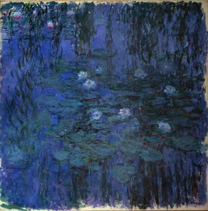 Nénuphar bleu