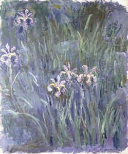 Iris - Claude Monet