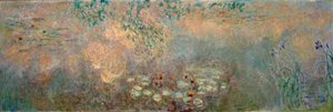 Le bassin aux nymphéas avec iris