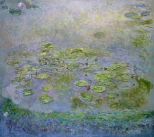 Les nymphéas