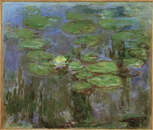 Nymphéas