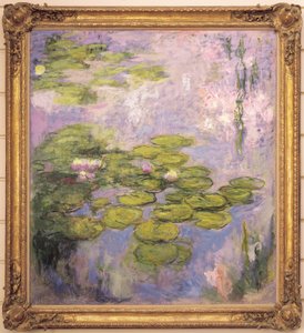 Nymphéas