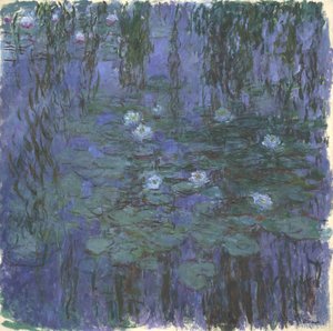 Nymphéas bleus