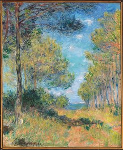Allée de sapins à Varengeville, 1882