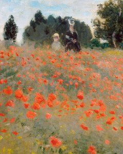 Coquelicots, environs d