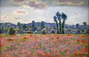 Champ de coquelicots