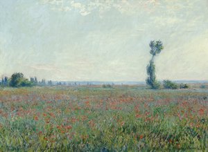 Champ de coquelicots, 1881