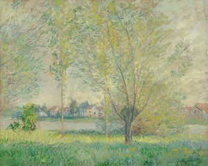 Les saules
