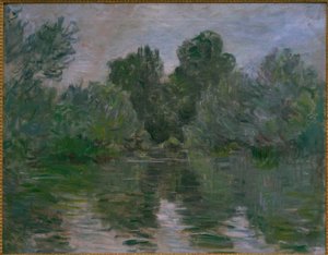 Un bras de la Seine