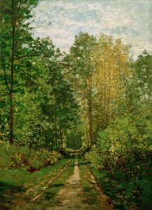 Chemin forestier