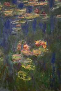 Nénuphars