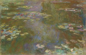 Le bassin aux nymphéas