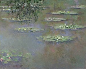 Nénuphars, 1903