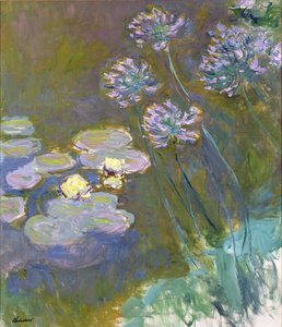 Nénuphars et agapanthes - Claude Monet