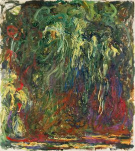 Saule pleureur, 1920-1922