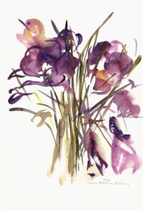 Crocus, 2003
