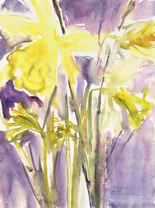 Jonquilles, 2004