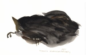 Chat endormi, 1985 - Claudia Hutchins Puechavy