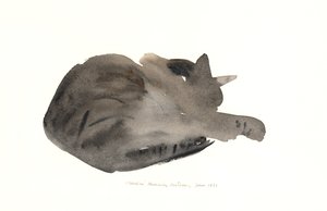 Chat endormi, 1985